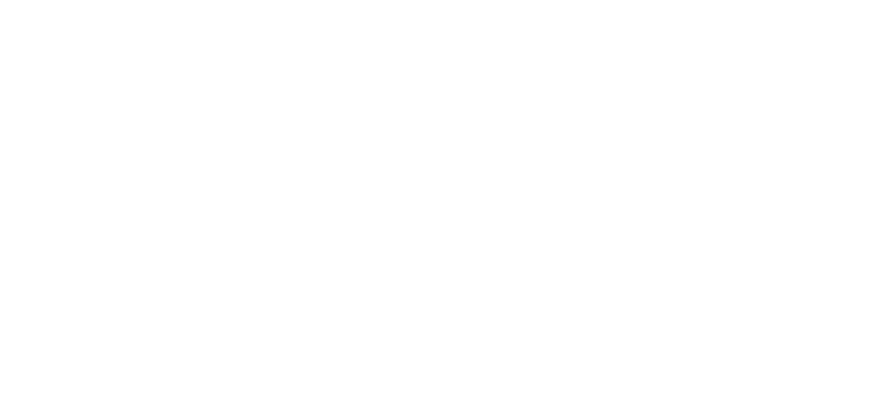 National association of tax professionals logo